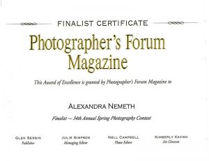 Lexi Finalist Award 2014_web.jpg